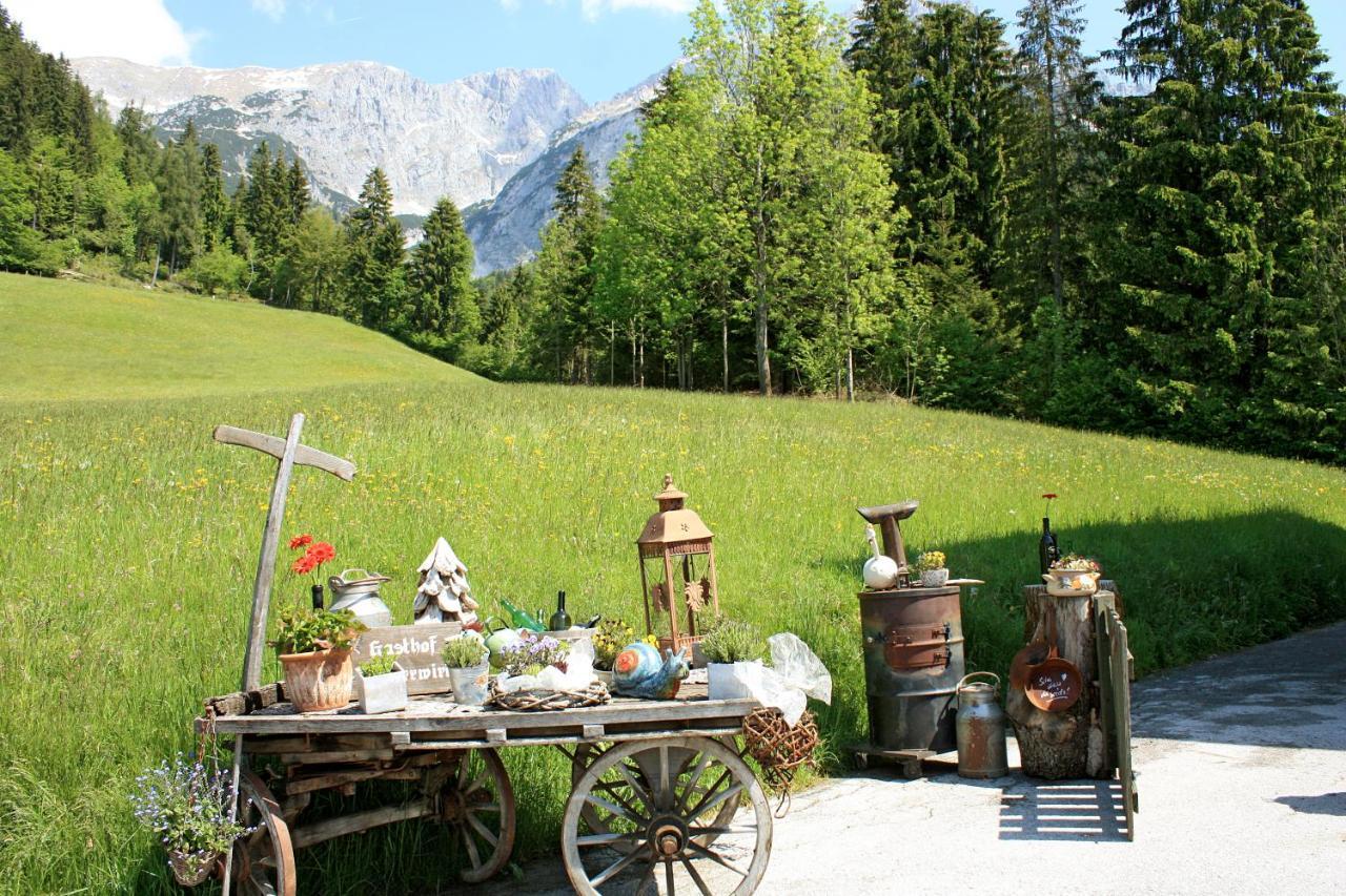 Boutique-Pension Jaegerwirt شيفو أم فيلدن كايزر المظهر الخارجي الصورة